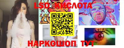 шишки Будённовск