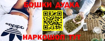 шишки Будённовск