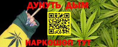 шишки Будённовск