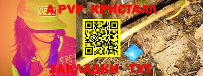 шишки Будённовск