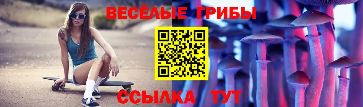 Галлюциногенные грибы Psilocybine cubensis  где продают   Вход с VPN  Курчатов  Псилоцибиновые грибы мухоморы 